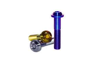 China Allen Titanium Motorcycle Bolts GR5 TC4 Socket Titanium Torx Button Head Bolt supplier