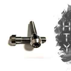 China Grade 5 Ti6Al4V  Titanium Motorcycle Parts Titanium Torx Socket Head Screw M6x10 For Bicycle supplier