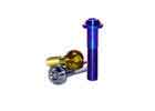 China Allen Titanium Motorcycle Bolts GR5 TC4 Socket Titanium Torx Button Head Bolt factory