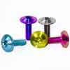 China DIN Standard Titanium Precision Parts Gold Torx Bicycle Titanium Bolt factory