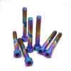 China Anodized Colored Rainbow Titanium Motorcycle Parts Gr5 Titanium Screws M6 M3 M4 M5 factory
