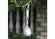 Silver Portable Titanium Fork Spoon Light Weight For Outdoor Hiking Cutlery supplier