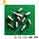Anti Allergic Gr2 Gr5 Titanium Dental Implant Screw M2 Titanium Surgical Screws High Precision supplier